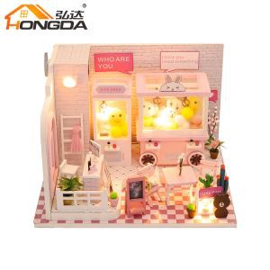 تفریح اور کرافٹ diy دوللہووسی